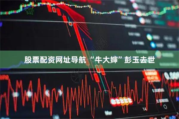 股票配资网址导航 “牛大婶”彭玉去世